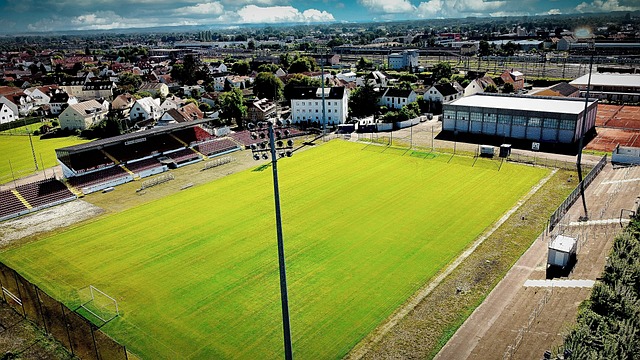 如荼进行 如荼进行