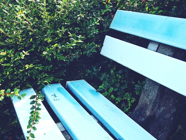 洛杉矶湖人 洛杉矶湖人