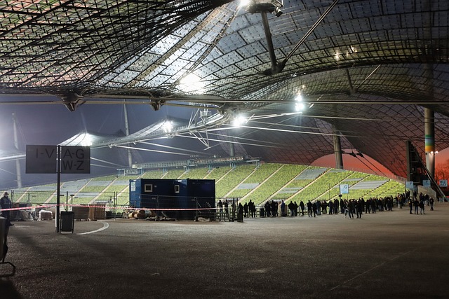 职业发展的 职业发展的