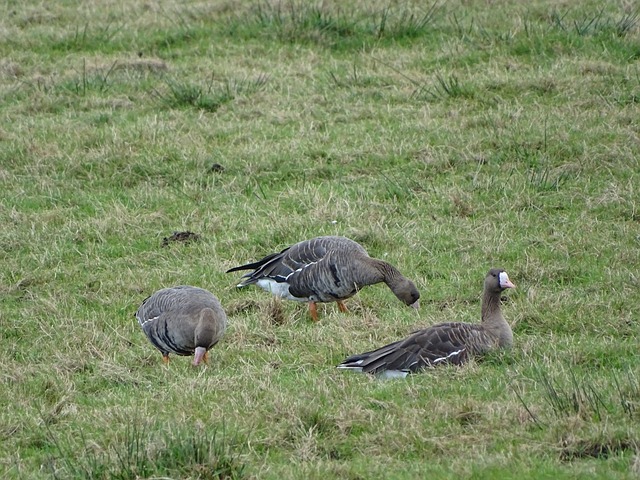 外交智慧 外交智慧