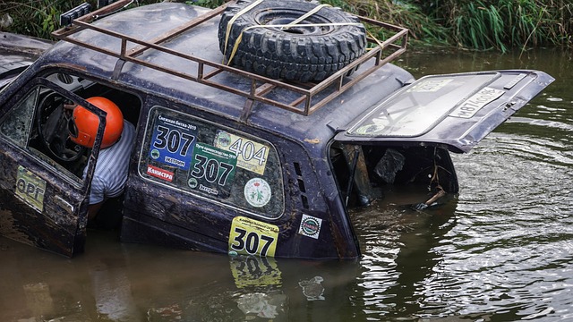 本届亚洲青 本届亚洲青