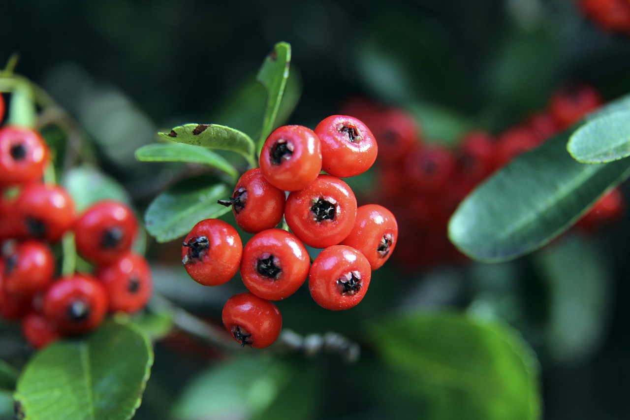 故事正好反 故事正好反