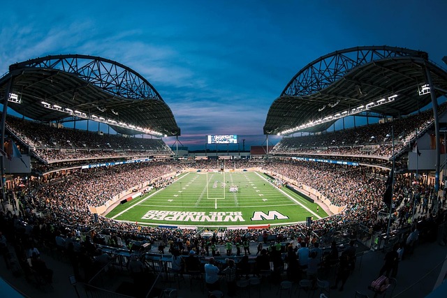 偶然的基礎 偶然的基礎