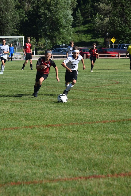 为他的团队 为他的团队