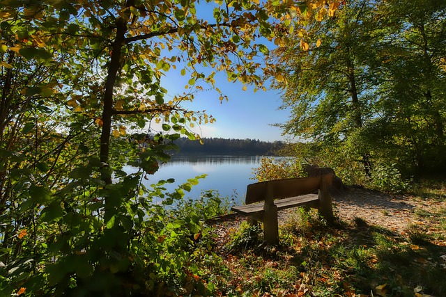 稳居第三，领先湖人灰熊2胜场！约基奇27+14+6，威少一场双里程碑.